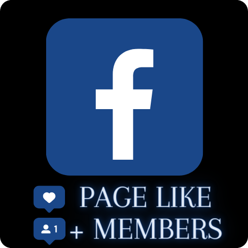Page Follows + Likes Facebook